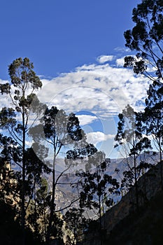 Contraluz en las cimas de Tarma photo