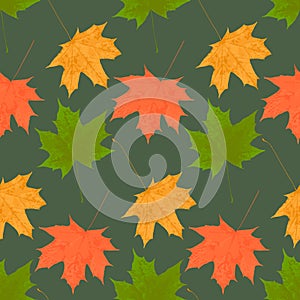 Contrast autumn leaf fall of maple leaves seamless pattern on dark background