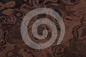 Contrast brown nut veneer background for your elegant design.