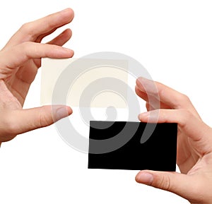 Contrast business cards in hand