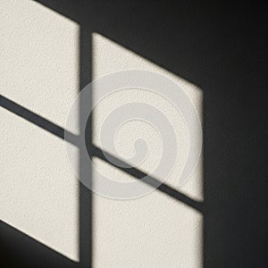 Contrast between the light and shadow highlights the simplicity and