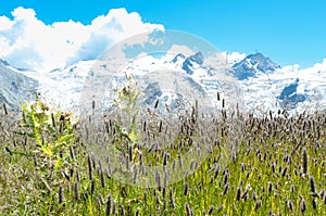 Contrast of seasons in mountain landscape