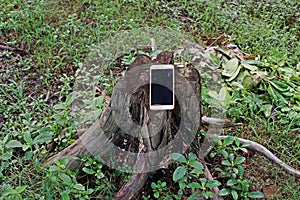 In contrast, technology and nature