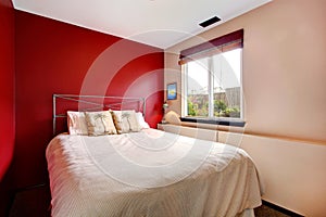 Contrast wall bedroom with tropical bedding