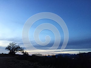 Blue sky and the silhouette of a trunk photo