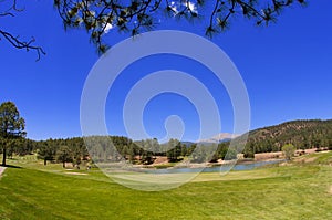 Contrasting Arizona golf course