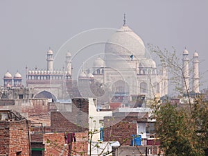 Contrasting Buildings