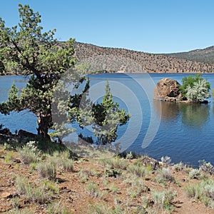 Contrasting Prineville Reservoir