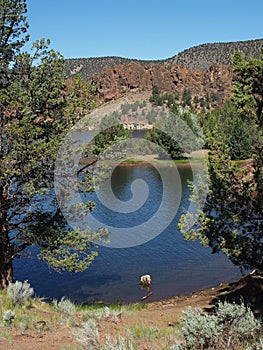 Contrasting Prineville Reservoir