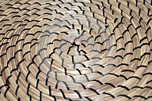 Contrasting Spirally formed grass mat photo