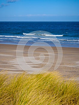 Contrasting textures and colours in this incredible picture at Bamburgh Beach, England