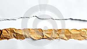 Contrasting Torn Paper Layers on White Background