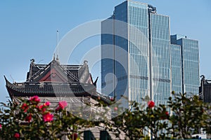 Contrasts architecture in Shanghai