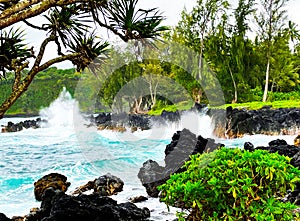 Contrasts on the Kenae Peninsula, Maui