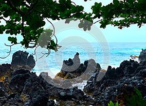 Contrasts on the Kenae Peninsula, Maui