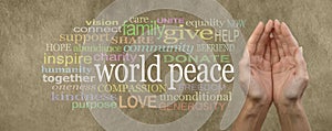 Contribute to World Peace Campaign Banner