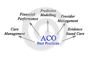 ACO Best Practices photo