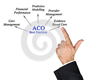 Contributions of  ACO Best Practices
