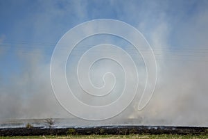 Controlled burn grass fire to help restore the grassland