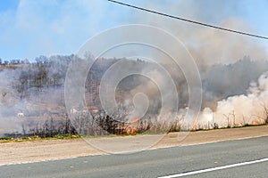 Controlled Burn Road Fire