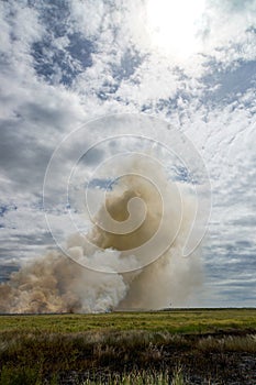 Controlled Bushfire in Kakadu National Park, with diffrent birds, Northern Territory, Australia