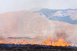 Controlled grass burning near Mount