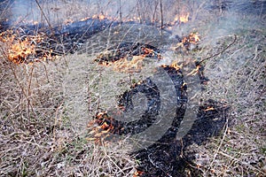 Controlled or prescribed burn of dry brush