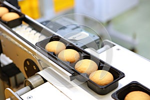 Controlling the work of huge conveyor machine producing spice cakes at the confectionary plant. Cookie production line