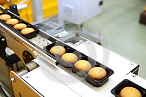 Controlling the work of huge conveyor machine producing spice cakes at the confectionary plant. Cookie production line