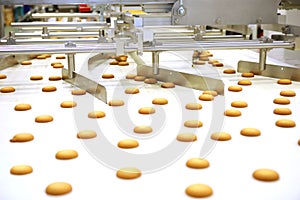 Controlling the work of huge conveyor machine producing spice cakes at the confectionary plant. Cookie production line