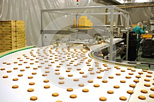 Controlling the work of huge conveyor machine producing spice cakes at the confectionary plant. Cookie production line