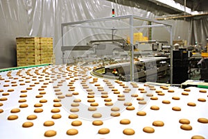 Controlling the work of huge conveyor machine producing spice cakes at the confectionary plant. Cookie production line