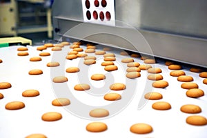 Controlling the work of huge conveyor machine producing spice cakes at the confectionary plant. Cookie production line