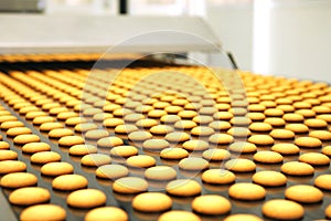 Controlling the work of huge conveyor machine producing spice cakes at the confectionary plant. Cookie production line. Innovative