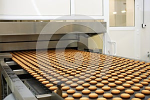 Controlling the work of huge conveyor machine producing spice cakes at the confectionary plant. Cookie production line. Innovative