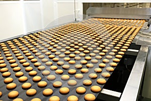 Controlling the work of huge conveyor machine producing spice cakes at the confectionary plant. Cookie production line. Innovative