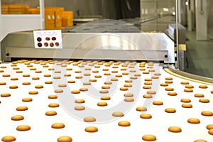 Controlling the work of huge conveyor machine producing spice cakes at the confectionary plant. Cookie production line. Innovative