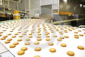 Controlling the work of huge conveyor machine producing spice cakes at the confectionary plant. Cookie production line. Innovative