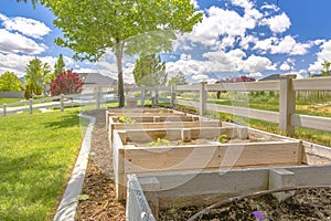 Contructed backyard grow beds with blue skies