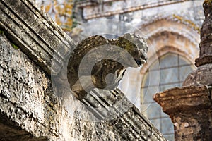 Monasterio de cristo 