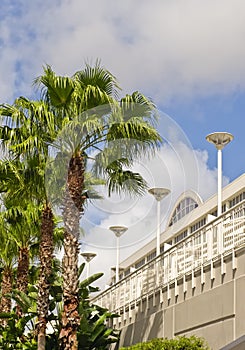 Convention center and palms