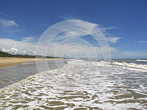 Beautiful beach in the caribbean sea in wetlands of Unare Lagoon Ramsar site and estuarine ecosystem in Anzoategui Venezuela