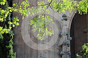 Facade details of de San Esteban convent, Salamanca, Spain photo