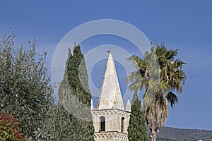 Convento San Domenico in Taggia photo