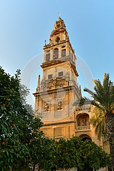 Torre Campanario - Cordoba, Spain photo