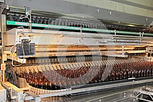 Conveyer line with many beer bottles