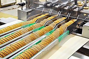 Conveyor belt with biscuits in a food factory - machinery equipm