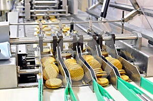 Conveyor belt with biscuits in a food factory - machinery equipm photo