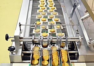 Conveyor belt with biscuits in a food factory - machinery equipm