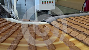 Conveyor belt at a confectionery factory with sweet cookies in motion